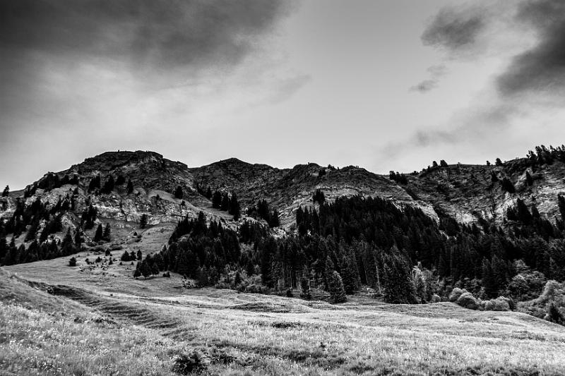 2017_06_09 (0009)-2.jpg - Lac de St Guérin (Juin 2017)